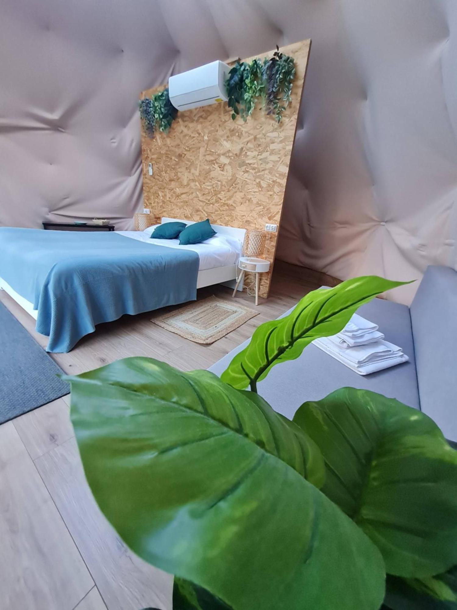 Glamping Canon Del Rio Lobos 우세로 외부 사진